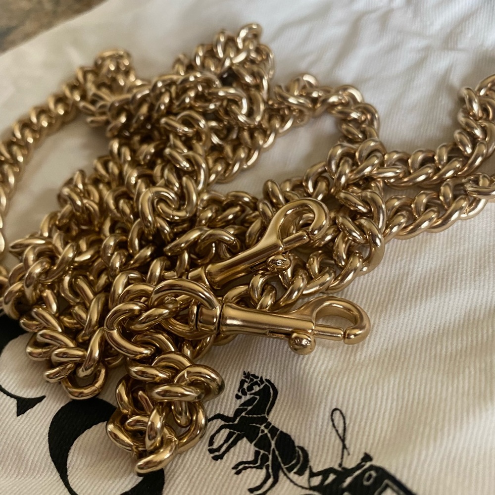 Coach chain strap